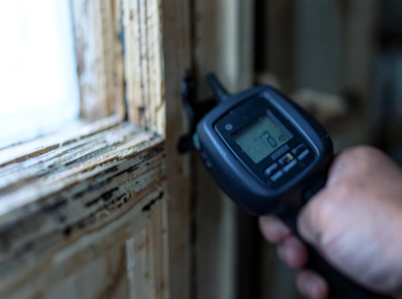 Moisture Inspection And Documentation in Blossburg, PA